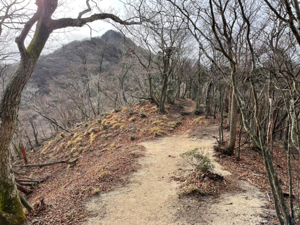 武平峠登山ルート