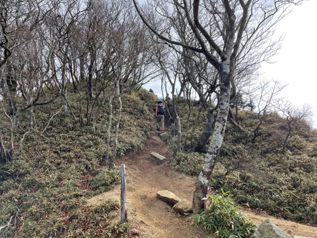 鎌ヶ岳山頂付近