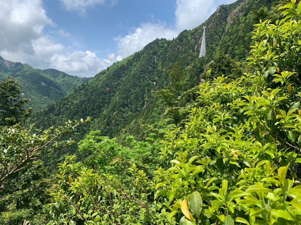 御在所　登山