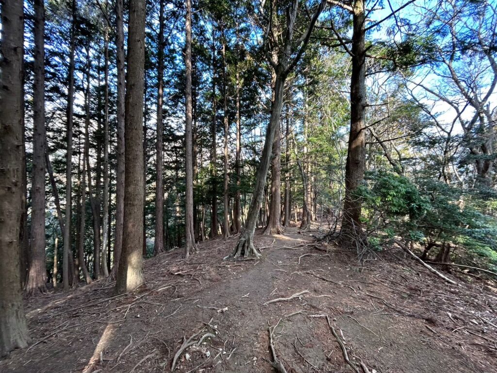 入道ヶ岳登山道