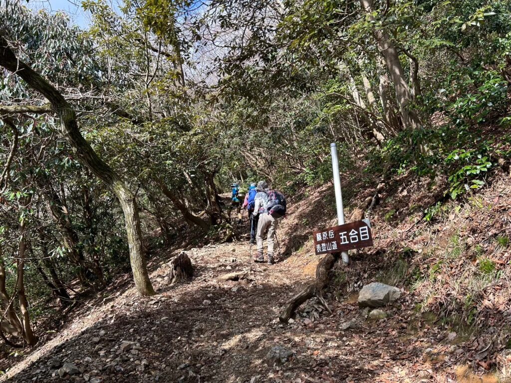 藤原岳登山道