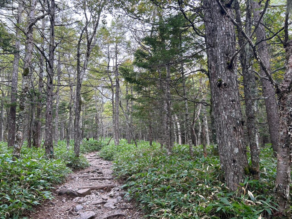 蓼科山登山