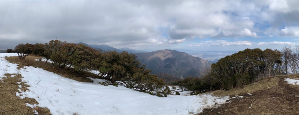 入道ヶ岳登山道