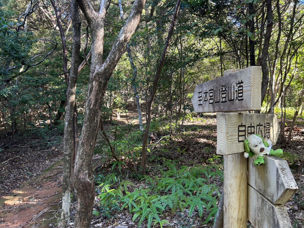 本宮山登山道