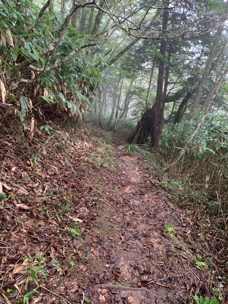 南沢山（みなみさわやま）登山道