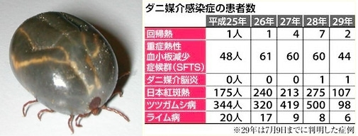 医師に連絡する時期